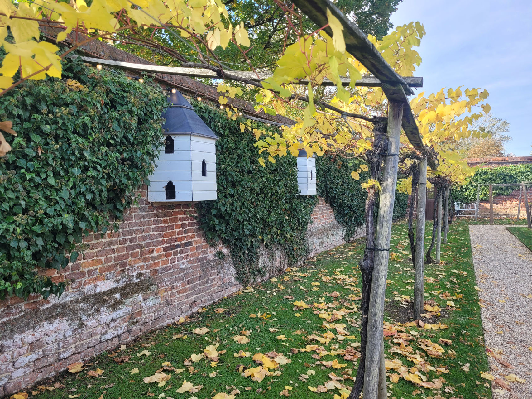 Vineyard with birdhouses and autumn foliage at Stanlake Park Wine Estate.